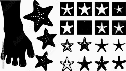 Silhouette of a foot with starfish scattered around and a collection of starfish in square frames