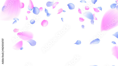 Soft pastel pink and light blue flower petals gently falling on a pure white background creating an atmosphere of tenderness cheerfulness freshness natural beauty purity