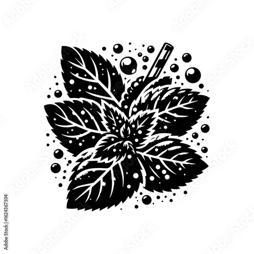Black and White Mint Leaves with Bubbles