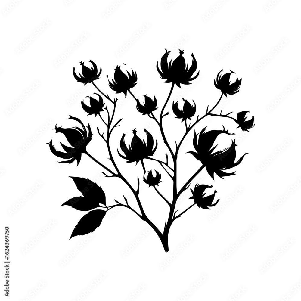 Obraz premium Black Silhouette of Cotton Plant Branches