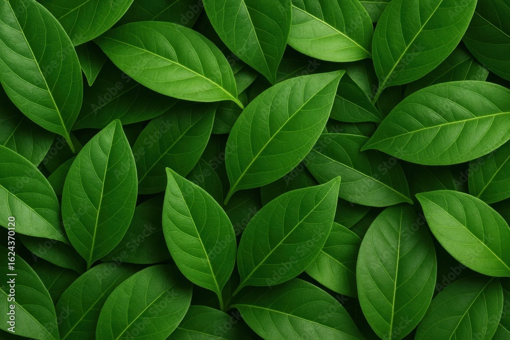 A sea of vibrant green leaves, meticulously arranged in a repeating pattern, symbolizing growth, harmony, and tranquility A sea of vibrant green leaves, meticulously arranged in a repeating pattern, symbolizing growth, harmony, and tranquility