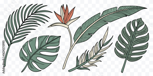 Tropical leaves and bird of paradise flower hand drawn botanical illustration exotic foliage summer vibes seamless pattern