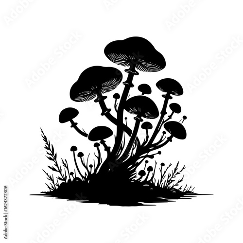 Silhouette of a cluster of mushrooms and grass