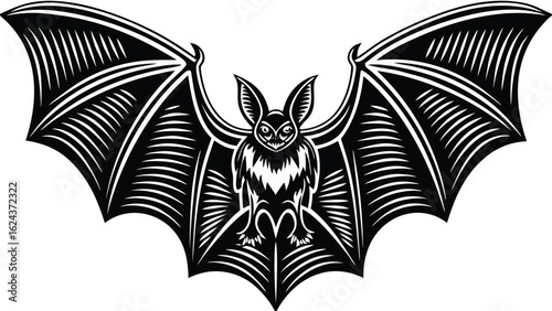 A bat illustration with wings spread wide showing intricate line work in black and white vector design