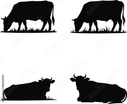 Cow Silhouette Vector Bundle – Farm Animal, Dairy Cattle, Livestock Clipart Set