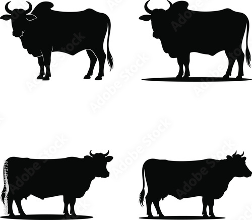 Cow Silhouette Vector Bundle – Farm Animal, Dairy Cattle, Livestock Clipart Set