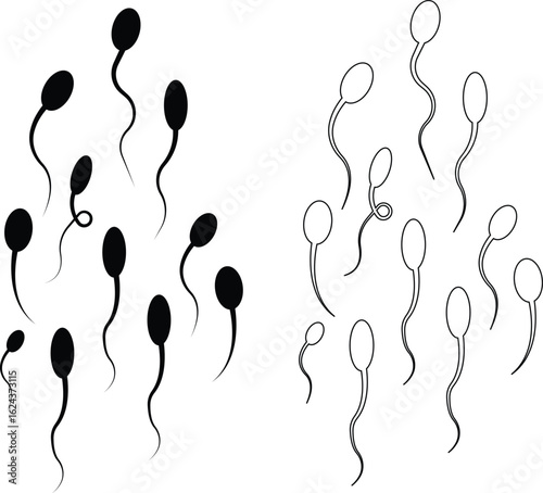 Sperm Icons Vector Set, Collection and Group, Human Reproduction Symbol, Fertility, Medical, Science, Anatomy, Minimal Flat Line Style, Monochrome Silhouette Graphic Bundle for Health and Biology Desi