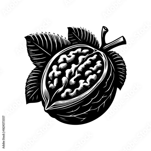 Stylized Black and White Walnut with Leaves