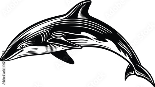 A black and white illustration of a dolphin gracefully leaping with detailed shading and fin definition design