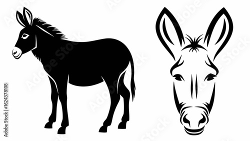 Illustration of a donkey standing in profile and a donkey head in a front view on a white background | editable eps vectors silhouette