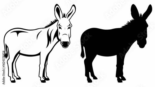 Illustration showing two donkeys one in outline and one in silhouette standing side by side on a white background | editable eps vectors