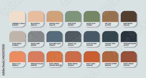 Miombo Rock Thrush Color Palette. Monticola angolensis color Tone Swatch Chart with HEX Codes and Color Names. Organic Tones Chart  Neutral, Terracotta, Olive and Clay. Terracotta and Woodland Colors