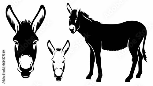 Illustration showcasing three donkey depictions in black and white silhouette style on a white backdrop | editable eps vectors