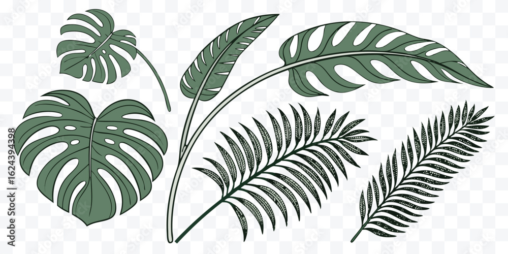 Fototapeta premium Tropical Green Leaves Collection Illustration Featuring Monstera and Palm Fronds for Decoration and Botanical Designs