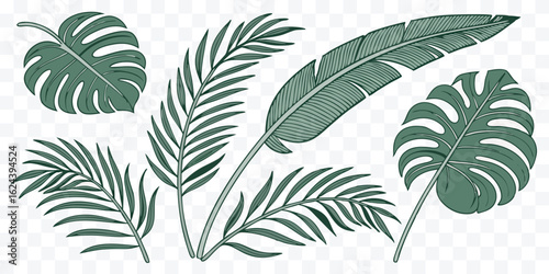 Elegant Tropical Foliage Illustration featuring Monstera and Palm Leaves for Modern Design and Creative Projects bringing nature inspired artistry