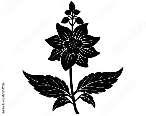Black and white silhouette of a blooming plant with detailed petals and leaves, isolated on white background