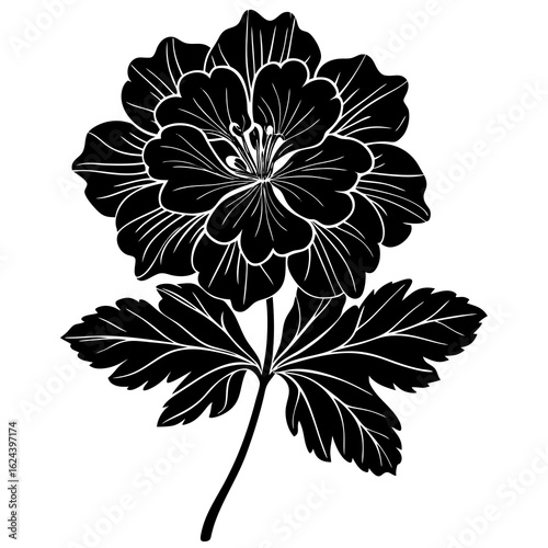 Black and white silhouette of a peony flower with leaves, isolated on white background