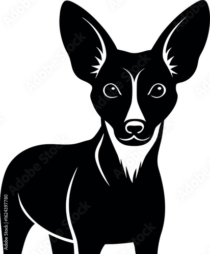 Wild dog with large ears and lean face in detailed black silhouette vector design