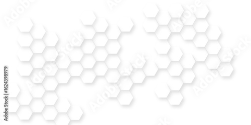modern and seamless hexagon is arranging randomly, Abstract white vector wallpaper with hexagon grid, panoramic wall of Random shifted white honeycomb hexagon background.