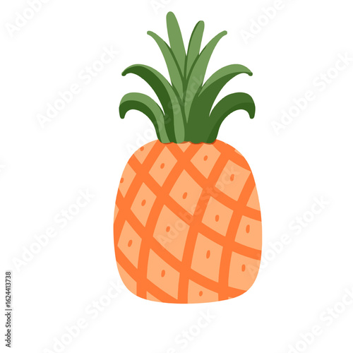 Illustration of a Tropical Pineapple Fruit