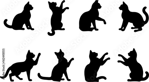 Cat Silhouettes in Various Sitting and Playing Poses