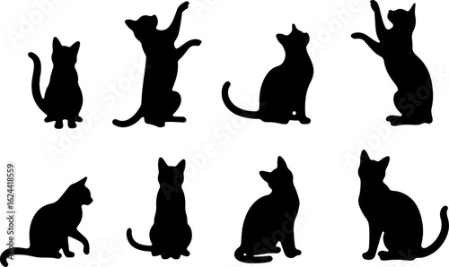 Cat Silhouettes in Various Sitting and Playing Poses