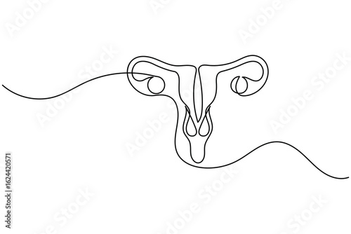 Minimalist one line drawing of a human uterus with fallopian tubes. Modern medical anatomy concept