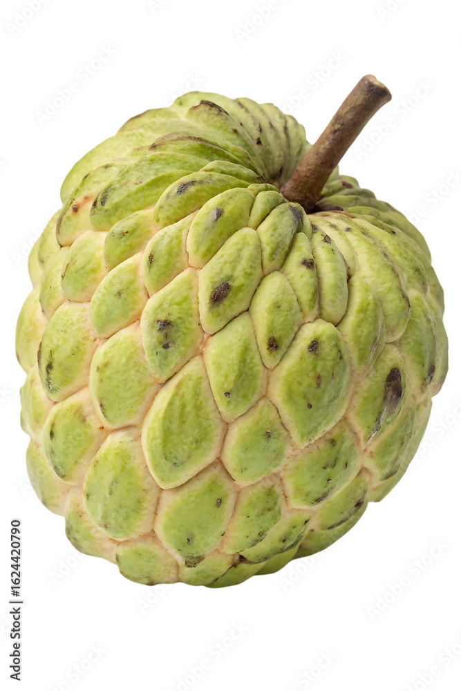 Obraz premium sugar apple with leaf
