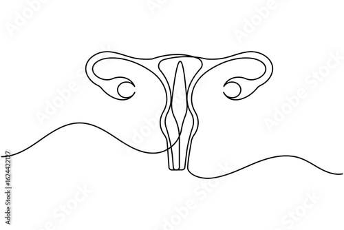 Minimalist one line drawing of a human uterus with fallopian tubes. Modern medical anatomy concept