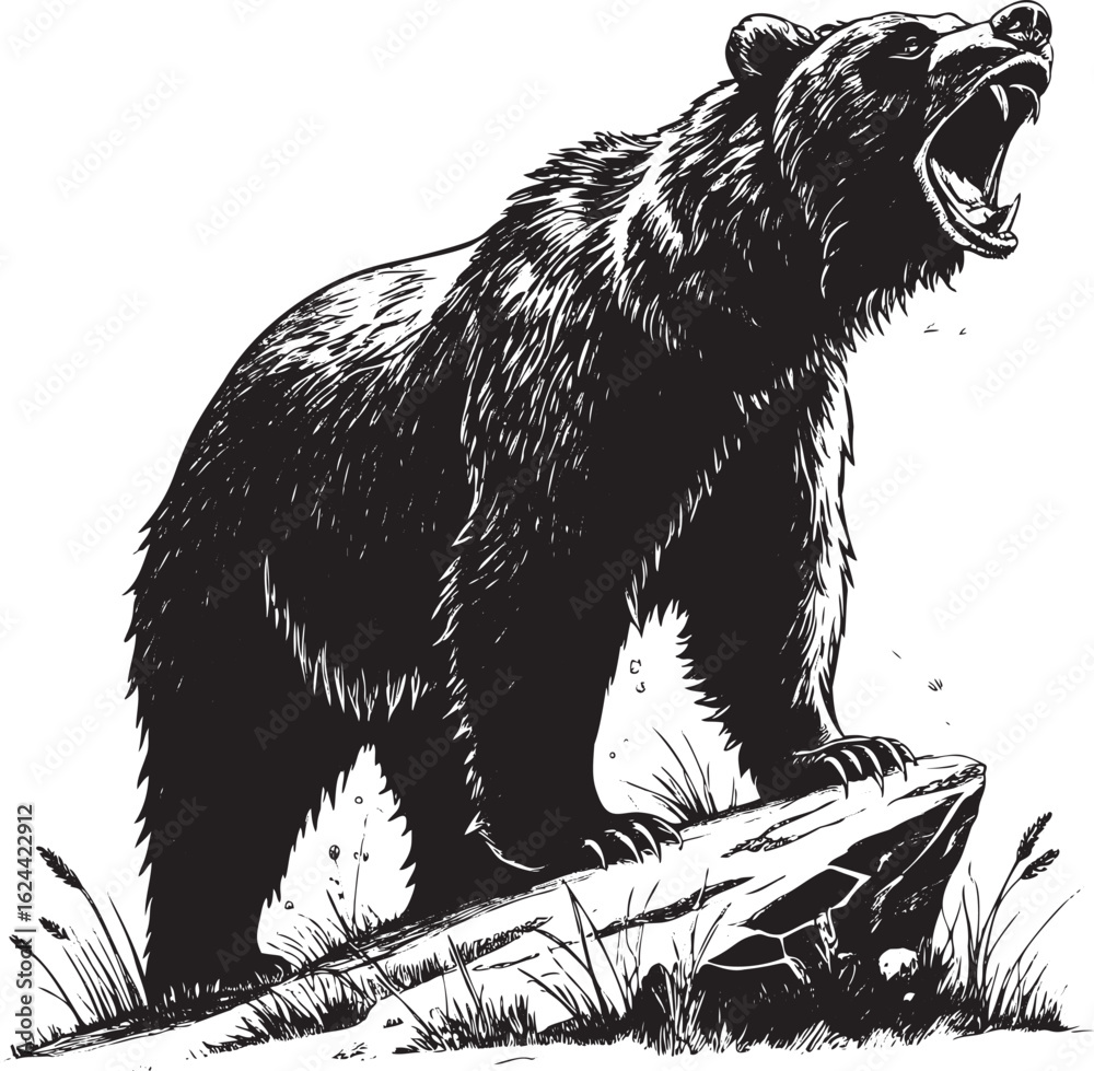 Fototapeta premium Roaring Grizzly Bear Standing on Rock aggressive wildlife