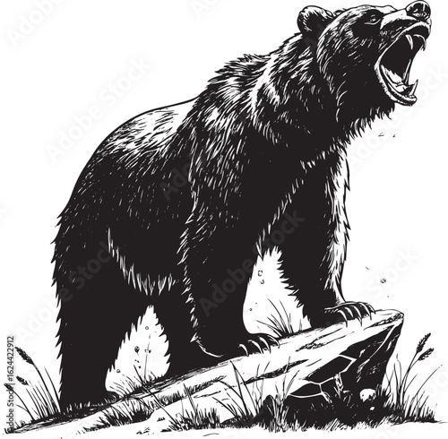 Roaring Grizzly Bear Standing on Rock aggressive wildlife