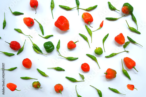 Colorful Red and Green Chili Peppers pattern on Clean White Background.