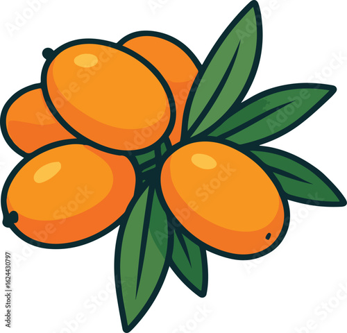 Orange Sea Buckthorn Berries with Green Leaves fruit