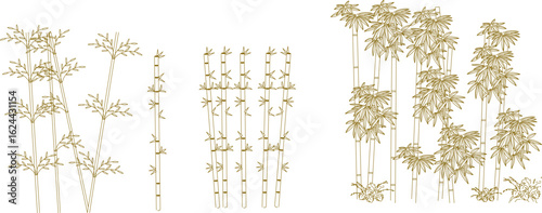 Vector sketch illustration of a tree plant design image for decoration and greening of city parks