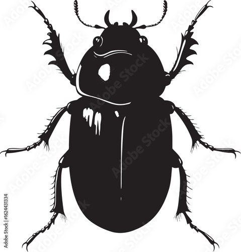 Black beetle with spiky legs and antennae insect white