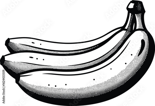 A black and white illustration of a bunch of bananas with halftone shading on a white background art