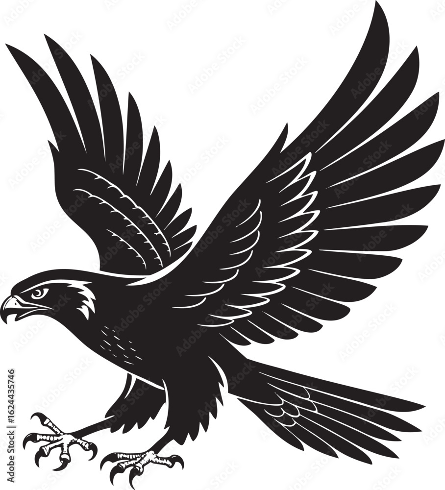 Obraz premium Black eagle in flight with spread wings falcon hawk