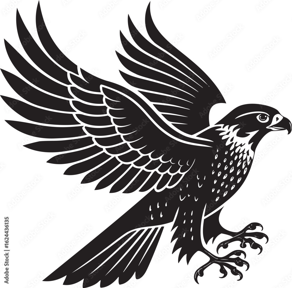 Fototapeta premium Black falcon in flight with spread wings bird talons