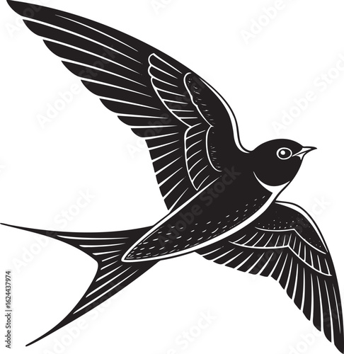 Black swallow in flight bird flying