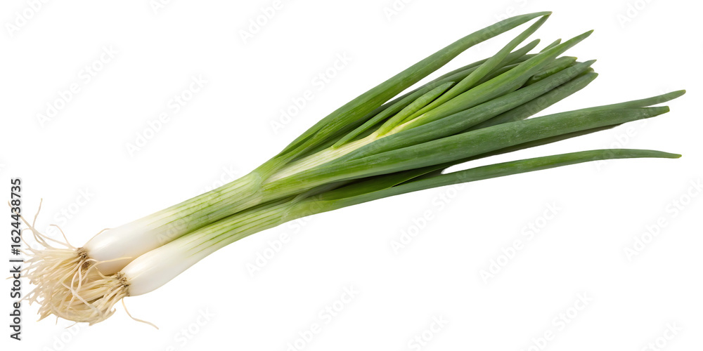 Fototapeta premium Bunch of Green Onions