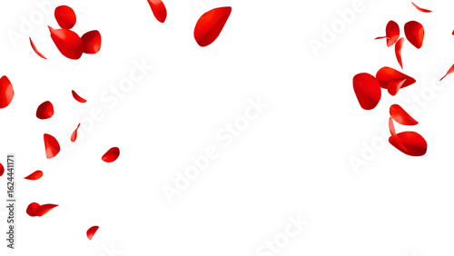 赤いバラの花びらの乱舞：背景透過