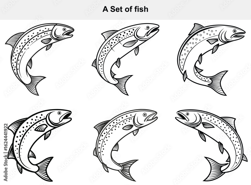 Fototapeta premium A Group of Salmon Fish Jumping in Water