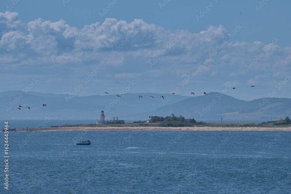 Obraz premium Small flock of birds (oyster catchers) flying over the ocean in scotland near Inverness