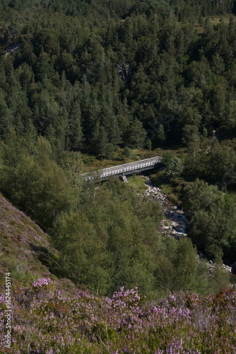 Well-trodden path through mountainous region in Scotland Cairngorms