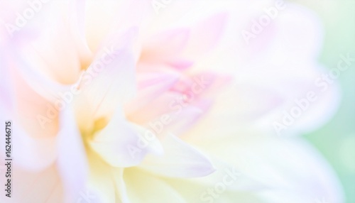 Dreamlike Macro of Pastel Flowers with Soft Bokeh Lights and Ethereal Blur

