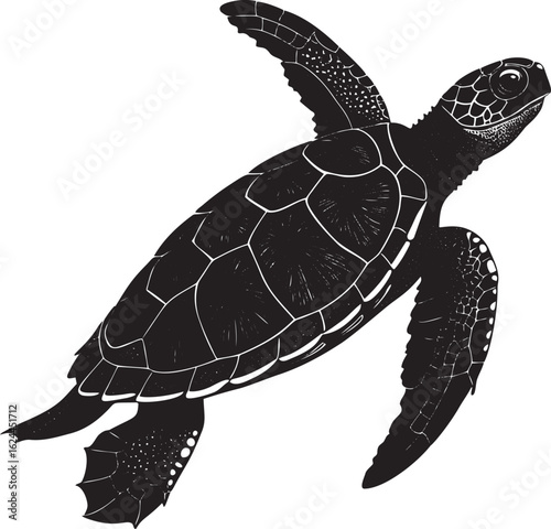 Black sea turtle swimming gracefully marine life ocean