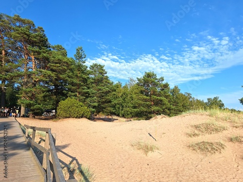 Forest and dunes at the Yyteri Beach, Pori, Finland.