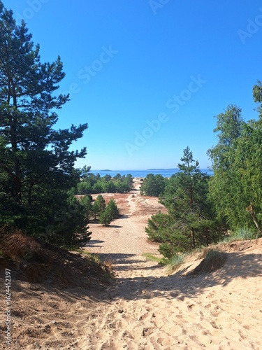 A path to the Yyteri Beach, Pori, Finland