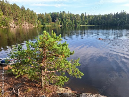 Kattilajärvi Lake and a swimmer. Nuuksio National Park, Espoo, Finland,