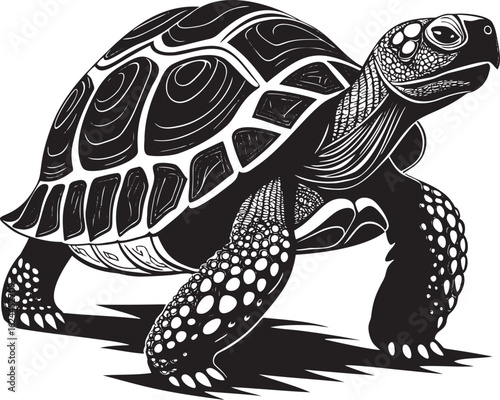 Detailed black and white turtle illustration reptile